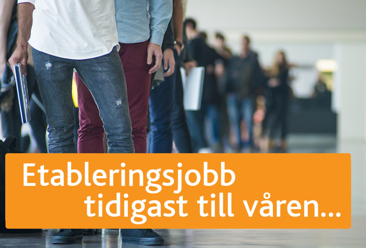 Etableringsjobb – tidigast  till våren
