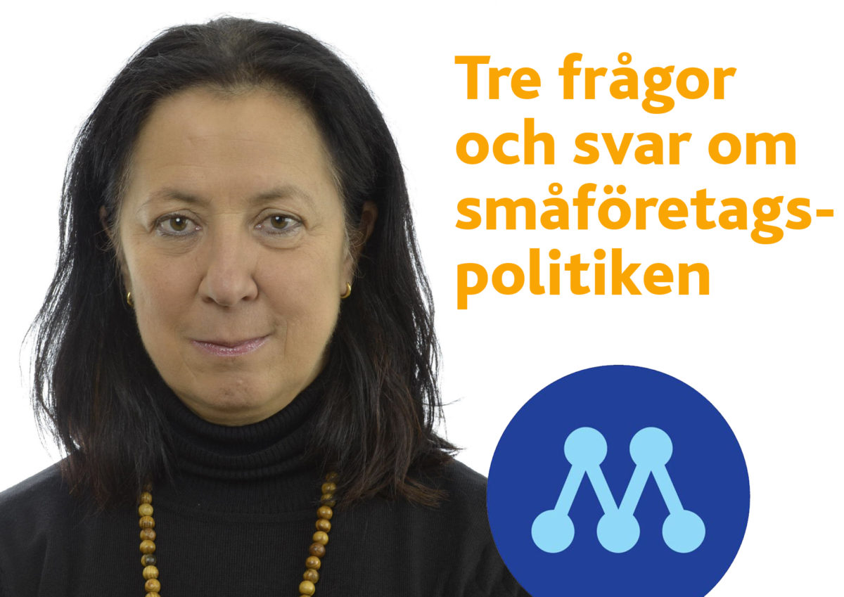 Moderaterna om småföretagspolitiken