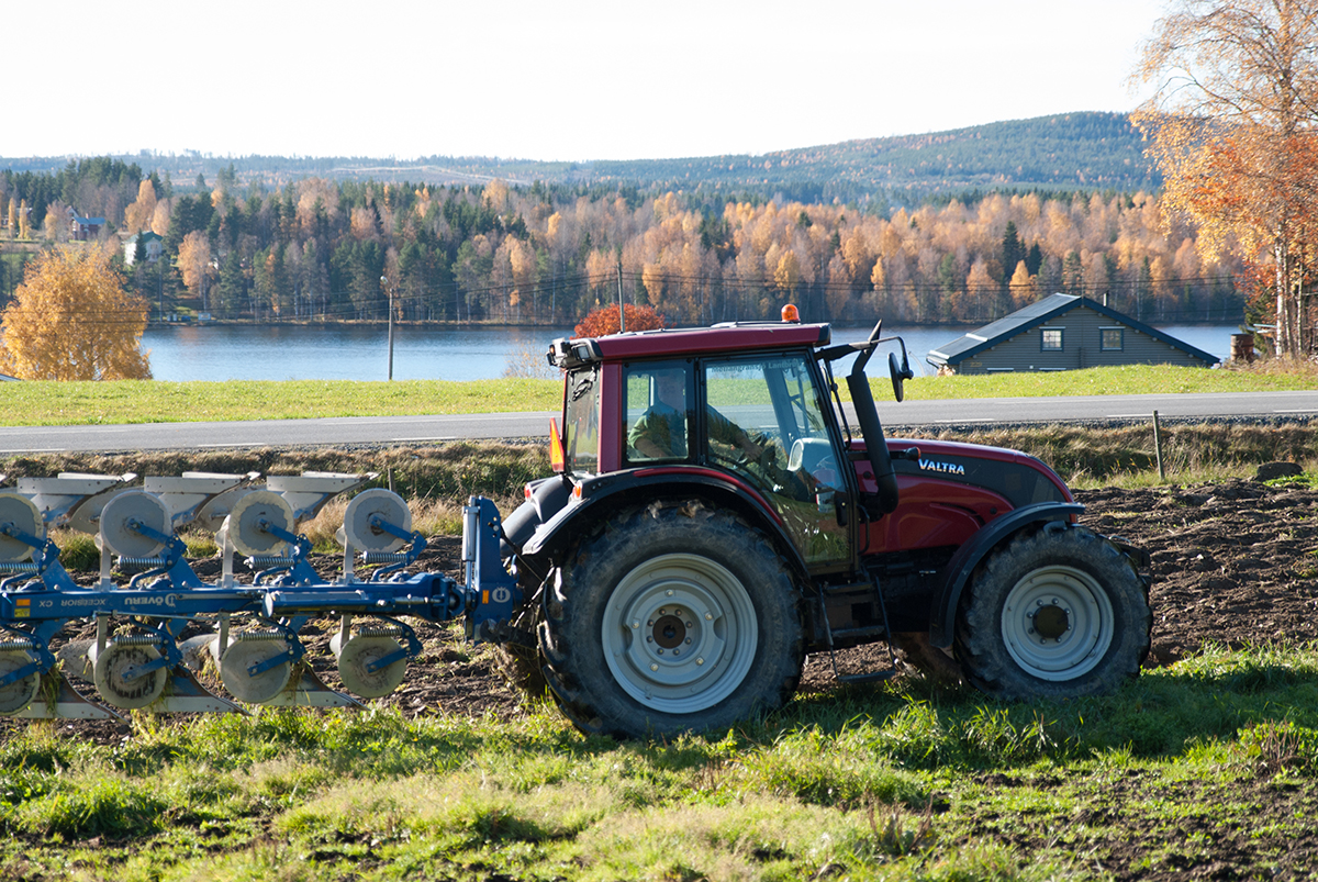 Sverige försvårar för sina egna företag