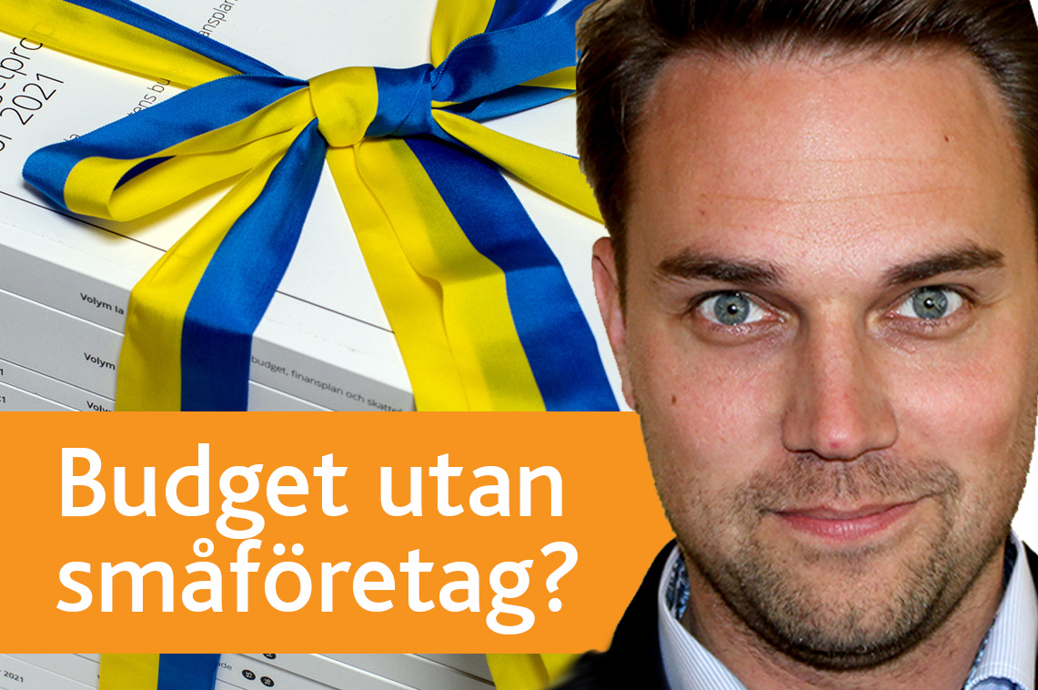 Höstbudget utan småföretagen? Vem skall då skapa jobben?